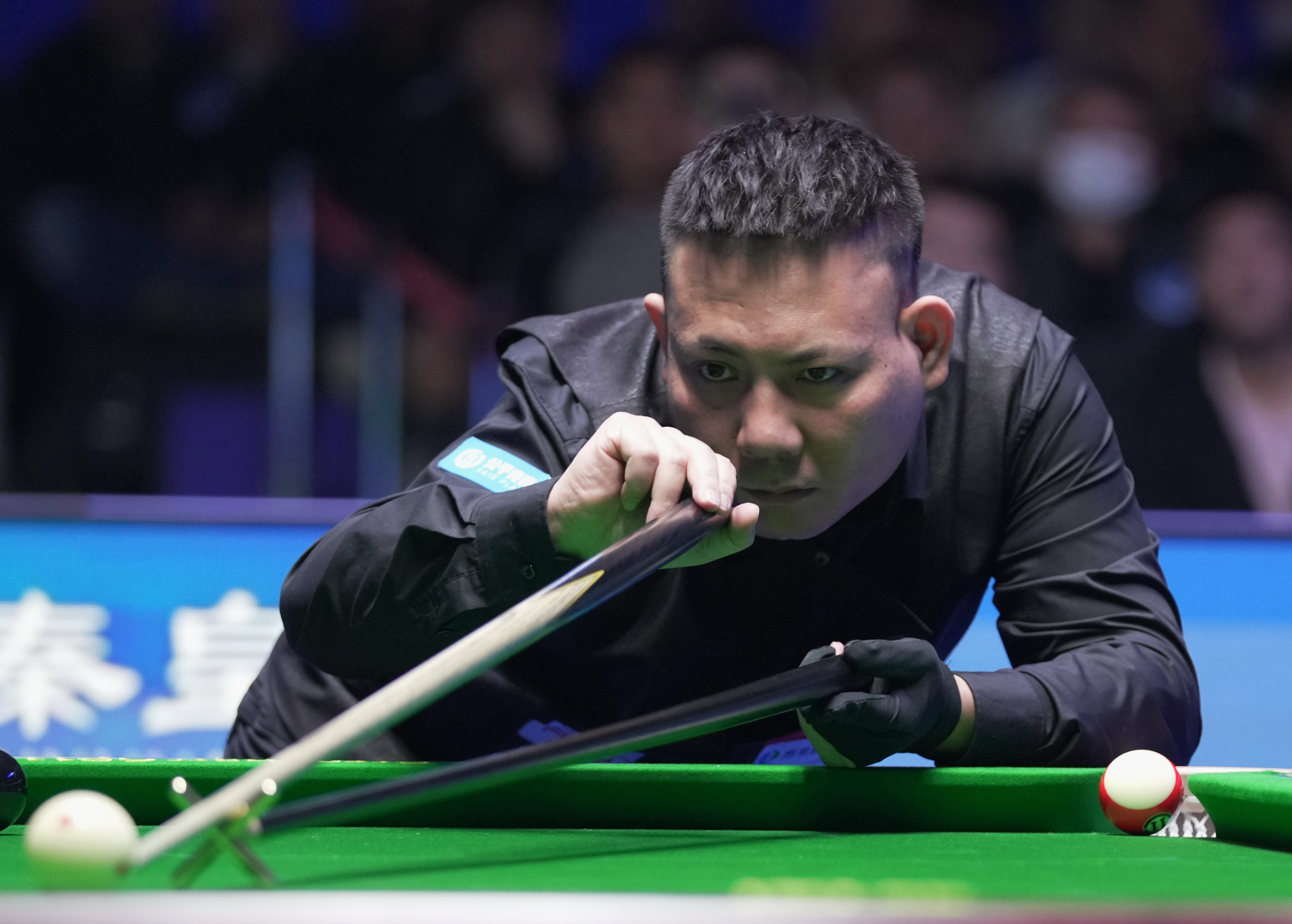 拥有多样进 拥有多样进