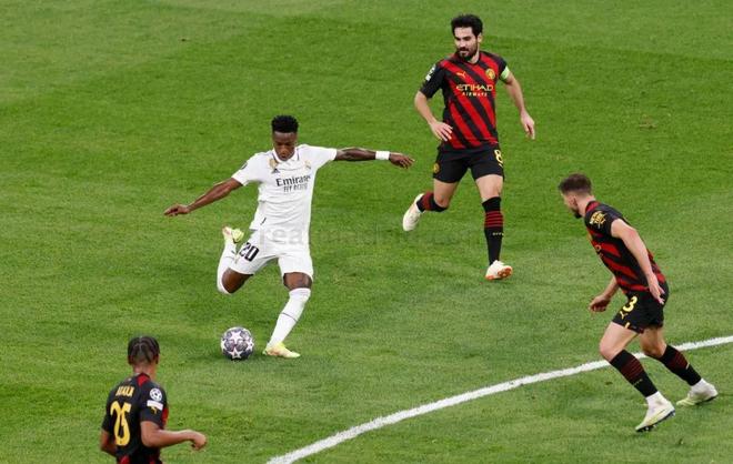 文化基礎 文化基礎